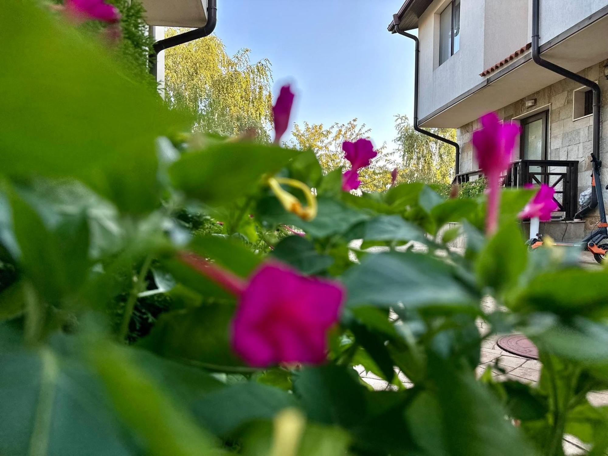Menada Imperial Heights Villas Slăntjev Brjag Exteriör bild